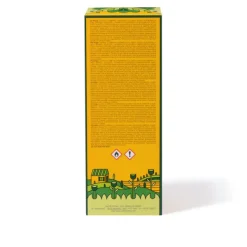 Buongiorno Home Collection | <Acqua di Parma New