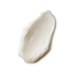 Crema Soffice Da Pennello | <Acqua di Parma Hot